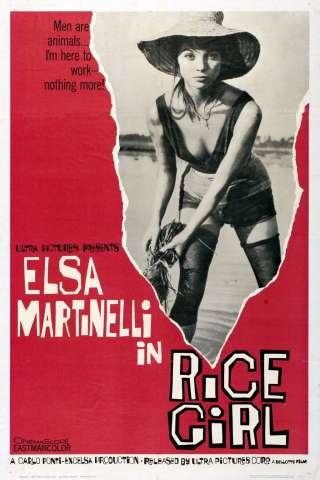 La risaia streaming